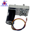 DC 12V / 24V High Torque Doppelwelle Elektromotoren Brushless DC Getriebe Motor